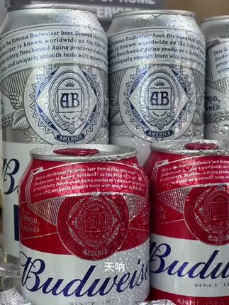 百威冰啤与小红罐组合!价格划算好喝又好看!喜欢喝啤酒的赶紧囤#百威 #啤酒 #仙女都在喝什么