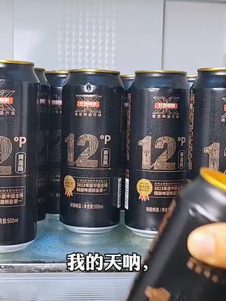 这买一箱送一箱的轩博精酿啤酒,朋友小聚怎么能少得了#轩博精酿啤酒 13度的酒精度刚刚好,酒花绵密口感醇厚#啤酒 #精酿啤酒 #啤酒推荐 #618开箱大晒