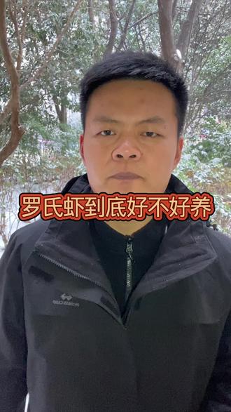 罗氏沼虾到底好养不好养#水产养殖 #养虾人 #罗氏虾 #罗氏沼虾养殖