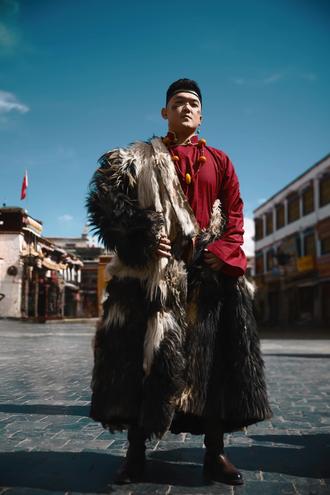 #可可西里自然保护区 #藏羚羊 办个藏羚羊幼儿园