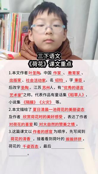 三年级下册语文《荷花》课文重点知识点梳理#三下语文知识点#小学语文#知识点总结#每天学习一点点