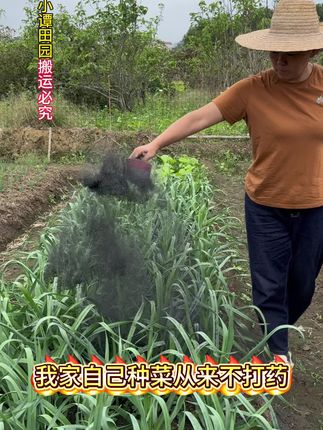 稻壳炭是咱们养花种菜人的好帮手,我一直都是在用这个#稻壳炭 #稻壳炭草木灰 #稻壳炭的作用 #养花种菜 #秋播
