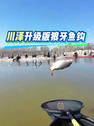 #户外钓鱼 #休闲野钓 #子线双钩 #钓鱼