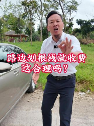 大家觉得对不对.支持的老乡点赞,感谢支持,#路边停车收费#胡子哥二手车