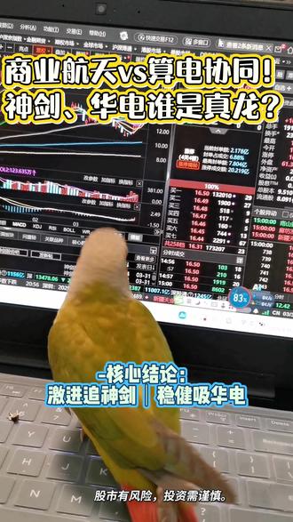 #股民日常记录 #创作者中心 #创作灵感 #股票交易 #鹦鹉
✅ 核心逻辑:天龙三号首飞+银河航天IPO催化,4连板市场最高标,资金抱团情绪拉满
✅ 明天策略:竞价高开≥5%、承接强可打板;低于3%直接放弃,不低吸不追高
⚠️ 风险:市盈率388倍,纯情绪炒作,断板就跑,别贪
华电辽能(600396)|算电协同二波预期
✅ 核心逻辑:政策强推算电协同(绿电占比≥80%),绿电直供算力中心,业绩拐点+央企背景
✅ 二波机会:高位震荡消化获利盘,回踩支撑位低吸,博弈政策二次发酵
⚠️ 风险:前期7连板涨幅大,追高易吃面,只做低吸不打板