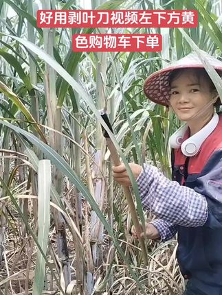 刀好用干活比较轻松