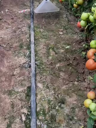 除草防风喷头#除草防风喷头 #农具