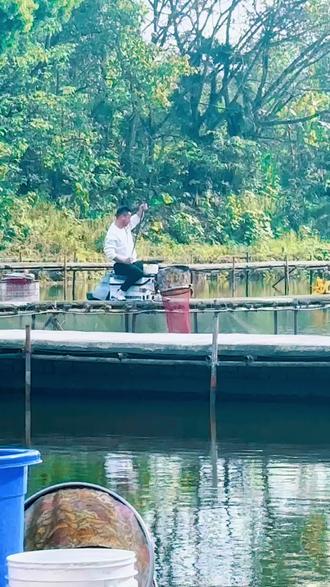 玉书园钓鱼场
1号塘: 偷驴已开启,塘小两母.水深1.7米.共43个钓位)
底鱼5500斤,规格(1.2–2)斤一条
🐟 票价:88元/5小时.回鱼4元/斤
🎣 不用抽号 · 随便坐
🎣 限竿4.5米 · 禁饵同上
🎯 限竿4.5米 · 🈲提前打窝,🈲一人多杆,🈲蹭窝子。饵料🈲虾拉、蚯拉、南瓜酥、虫饵等一切违规饵料。
✅ 高密度开口猛,全场狂拔不是梦
✅ 水质干净,钓位舒服
💥 要爆护的、想过瘾的、想来盘老板的
👇 抓紧渔护报名,位置有限,满场即止!
✅ 密度大、口稳、好钓
✅ 无限回鱼,随便拔,过瘾得很
✅ 休闲、过瘾、盘老板,打比赛都合适
想来的直接来,位置充足!
📍地址:重庆九龙坡玉书园钓鱼场
电话:19802365260