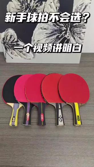 新手球拍怎么选一个作品讲明白#入门乒乓球拍 #乒乓球入门教学