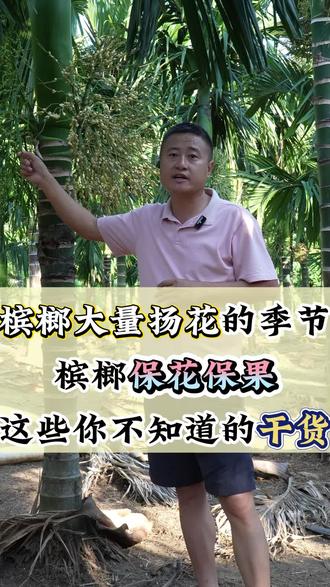 种槟榔一定要看,这期都是干货❗️#槟榔 #海南dou知道 #vlog十亿流量扶持计划 #作丰客 #来抖音学农技