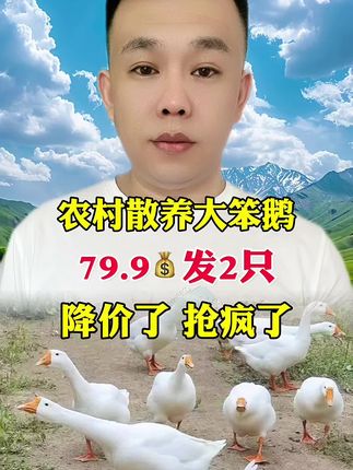 #大鹅 #农村养殖 #铁锅炖大鹅 #我要上热们