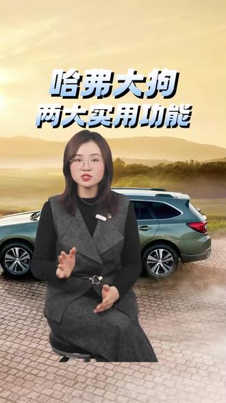 哈弗大狗新车提回家,这俩隐藏设置赶紧开!4S店销售都未必主动说,错过太亏了!#哈弗大狗 #用车技巧