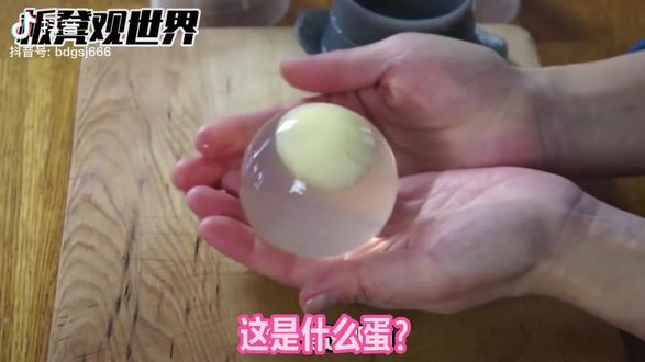 科普蛋类(2),科普十三个🥚