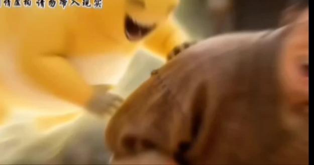 在古代学会奶龙大笑是什么体验?