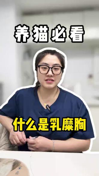 接上昨天的乳糜胸手术,今天给大家说一下乳糜胸到底是怎么回事#猫咪乳糜胸 #乳糜胸手术 #宠物知识科普 #宠物医生 #乳糜胸