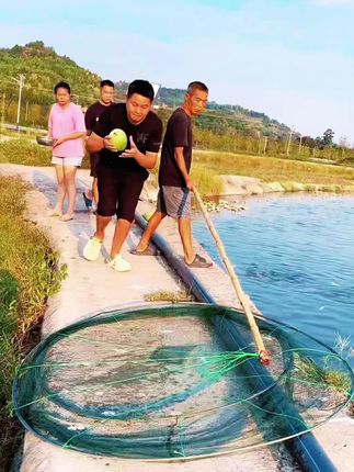 捕鱼虾折叠抬网#捕鱼#抓虾#捞鱼#钓鱼