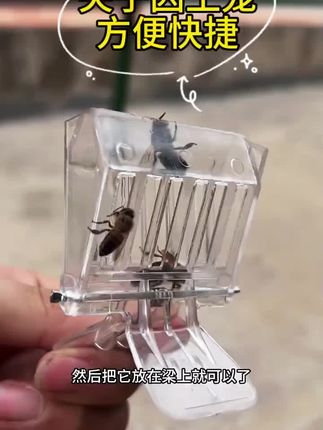 这种书夹式的王笼真的太方便了,轻轻一夹就能把蜂王关进去,还能通过顶部的小孔给蜂王喂食,既能控制蜂王,又能保障蜂王的生活质量。在分蜂期用它能很好的控制蜂群,防止分蜂热,而且它小巧便捷,可以随身携带。如果你也想轻松控王,不妨试试这个王笼。