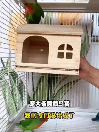 【宠大条】鹦鹉鸟窝木屋四季通用抽拉不锈钢底网虎皮牡丹玩耍躲避窝#周转率怎么通俗理解 #倍量过左峰 #risc-v概念股 #香港个人户开户攻略