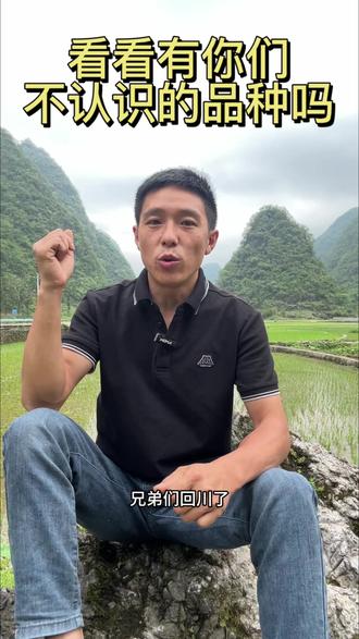 这里面有你们没见过的品种吗?#户外爱好者