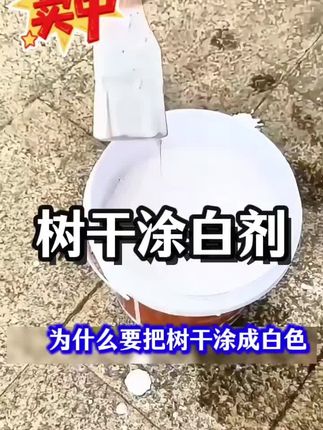 #上热门 创作灵感上热门#公园绿化带树木为什么涂白树干呢?# 涂白剂#果农#大树#果树种植