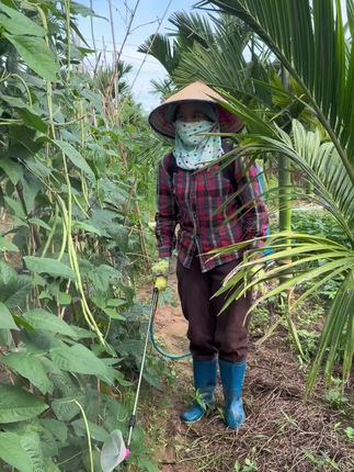 今天干好工本来 是想去抓螺的,没想到下雨去不成了。#记录真实生活 #农村生活