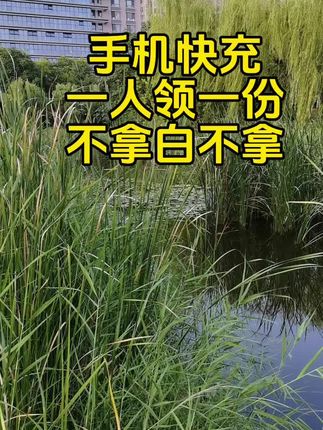 超级快充充电器,每人一份,马上行动