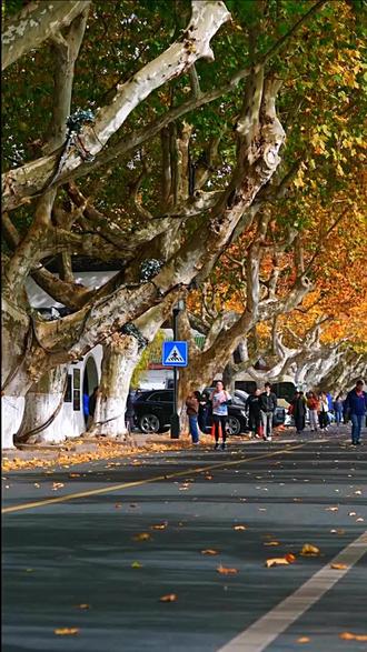 早安,我的好朋友,今天是2月22日,星期日,年味渐散,时光太匆匆,回望故土,又是一年背井离乡,故乡的春夏秋,都成了手机里的风景,只剩冬日的匆匆一聚,支撑起异乡的四季。#2月22日 #正月初六 #早安心语 #早安