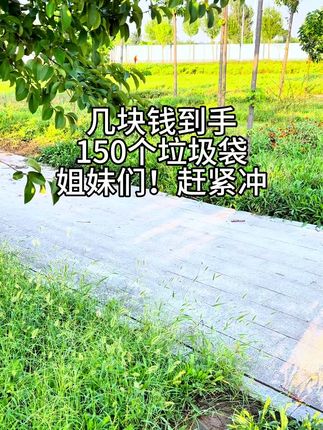 #新疆包个邮#垃圾袋#熏香垃圾袋#背心式垃圾袋#好物推荐🔥 几块钱到手150个的垃圾袋还全新疆包邮送到家,赶快去屯