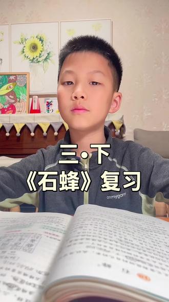 三年级下,语文《石蜂》复习#学习打卡ing #小学语文
