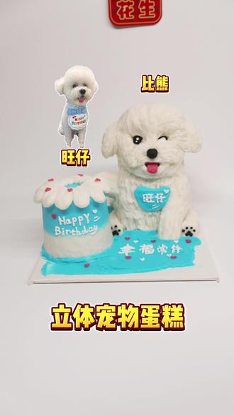 宠物蛋糕定制之比熊旺仔来啦#宠物蛋糕 #宠物烘焙 #狗狗生日蛋糕 #猫咪生日蛋糕