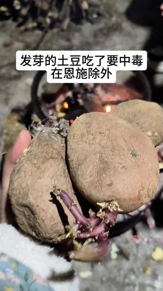 发芽洋芋的花语是:不闹恩施人
#吃喝玩乐分享计划 #恩施 #马尔科#马上更新家乡年味 #土豆