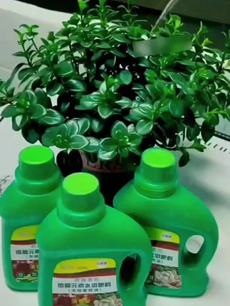 通用型万能营养液家用花卉水培肥料绿植盆栽富贵竹植物发财树茂盛#营养液 #植物营养液 #通用型植物营养液 #家用花卉水培肥料 #家用植物营养液