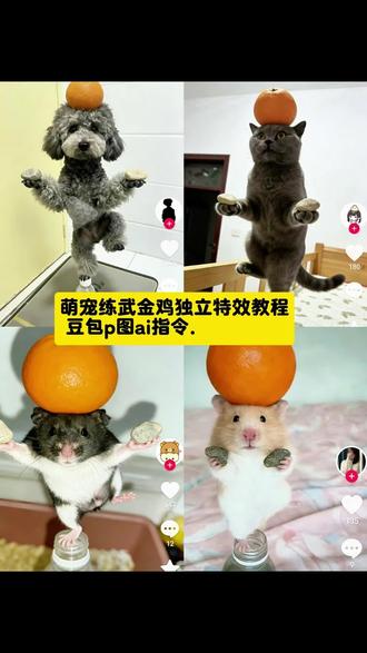 #十年功夫无人知 狗狗功夫ai生成指令 狗狗金鸡独立特效教程狗子练武ai生成口令狗狗金鸡独立ai 指令 叶问蹲ai特效教程 宠物金鸡独立ai指令 狗子练武ai免费生成 狗子练武ai制作教程 狗狗打拳ai 指令 ai生成小狗武术口令 狗狗功夫特效ai生成口令 猫咪功夫ai生成指令 猫咪打拳ai生成指令 狗子ai生成打拳视频教程 狗狗打拳ai指令 狗狗打拳ai 豆包指令 狗子跳舞ai生成 打拳特效ai特效小狗 狗狗打拳ai特效教程 猫咪打拳ai生成指令 狗狗打拳ai描述 #豆包ai#豆包P图已经nextlevel了#狗子练武ai生成口令#十年功夫无人知#狗狗金鸡独立ai指令 狗狗金鸡独立怎么拍 狗狗指令ai生成指令狗狗金鸡独立拍摄技巧 叶问特效拍同款 叶问蹲 叶问蹲ai特效一键生成 叶问ai特效 金鸡独立姿势 金鸡独立拍照动物 金鸡独立拍照姿势 狗十年功夫无人知 小狗练武术 台上一分钟台下十年功叶问蹲 金丝熊武功ai指令 猫咪顶东西ai指令 ai叶问蹲制作教程 ai叶问蹲指令 叶问蹲ai描述词 小猫叶问蹲口令 小猫叶问蹲教程 叶问蹲动物视频