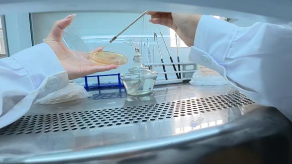 周五的我还不知道要迎来死亡周末#实验 #研究生 #拼豆@casset抖音任务 @抖音创作小助手