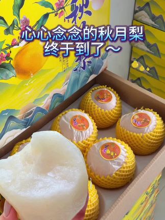 心心念念的秋月梨终于上市了,真的是梨子界的白月光!秋风起,万物燥,快来一起喝梨汁吧!个大饱满,皮薄肉嫩, 汁水充足,细腻无渣,爱吃梨的宝子们赶紧囤哦!#新鲜采摘 #秋月梨 #强烈推荐 #应季水果 #快来一起尝个鲜