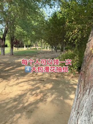 #新人福利第一单#一起撸羊毛#薅羊毛#漫花抽纸#好用的大包纸巾推荐