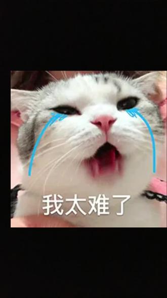 凌晨5点的清醒,是我独有的创作时差 我好像天生就是为夜班而生的选手,每到深夜就格外清醒,灵感也跟着翻涌。
可惜啊,我是个盲人,没办法去上夜班,只能在这寂静的凌晨,和自己的思绪作伴。
别人的深夜是梦乡,我的深夜是战场,在黑暗里摸寻着属于自己的那束光。
哪怕没有工作,哪怕前路未知,我也想把这份清醒,酿成属于自己的故事。
#失眠 #盲人创作者 #深夜灵感 #真实生活 #我的日常