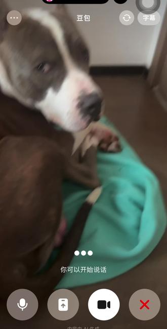 看的出来它不太愿意跟豆包说话#豆包 #斯塔福