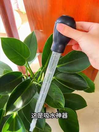 喜欢种花的一定要备个这种吸水器