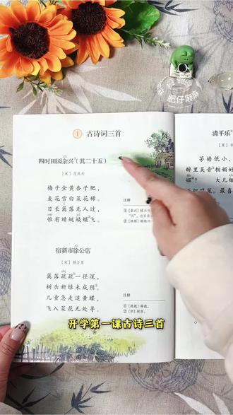 #四年级下册语文 开学第一课 《古诗三首》放学后怎么复习?就用这本#学霸速记 一课一复习夯实基础#小学语文#知识点总结 #必考考点