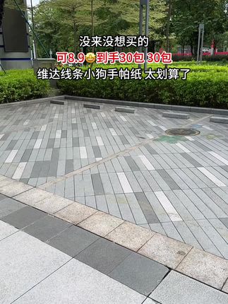 维达线条小狗手帕纸30包才这价!快冲!#维达 #手帕纸 #维达手帕纸 #出门必备 #超便宜超划算