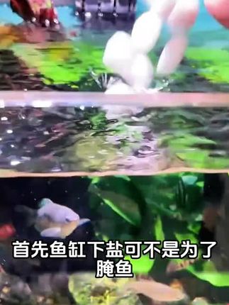 鱼缸鱼池专用盐观赏鱼通用快速调节渗透压矿物盐水族软化水专用盐#鱼缸盐 #鱼缸鱼池盐 #鱼缸专用盐 #矿物盐
