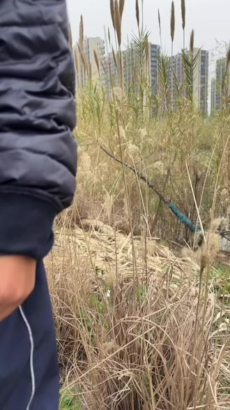 万水千山,分币不掏😂 #海来阿木 #分币不掏 #你的万水千山 @海来阿木(3月21巡演哈尔滨)