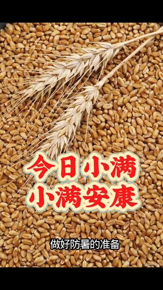 #小满节气 #小满安康 #谚语分享 @抖音小助手