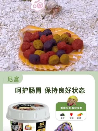 尼富寄居蟹专用水果粮爬宠饲料寄居蟹饲料#寄居蟹#水果粮#爬宠饲料#寄居蟹专用水果粮#寄居蟹饲料