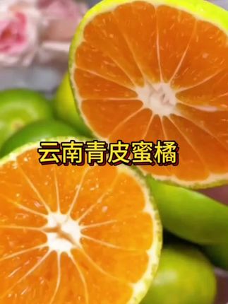 #云南青皮蜜橘 酸甜爽口,薄皮多汁,细腻无渣非常好吃!#应季水果 #快来一起尝个鲜 #农产品 #口感非常好