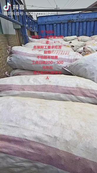 齐飞团队
招聘3-4南贾襄汾附近
名装卸工要求吃苦耐劳
不怕脏不怕累
工资日结200~300元左右
想干的可以联系本人