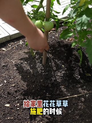#好物推荐🔥 咱迪庆人自己的有机肥 必须广一波#日常分享 #强烈推荐