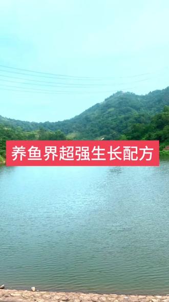 养鱼届超强配方 #水库鱼养殖 #水库养鱼技术 #水库养鱼 #四大家鱼#花白鲢