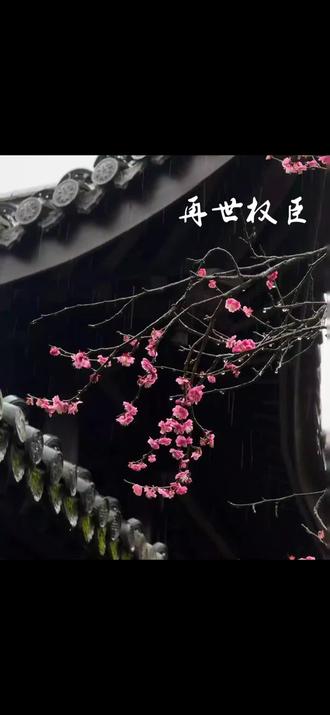 小爷的心要碎了#再世权臣 #苏晏 #倒霉死勒 #广播剧 #广播剧再世权臣